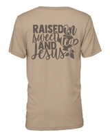 Delta Soul - Raised on...