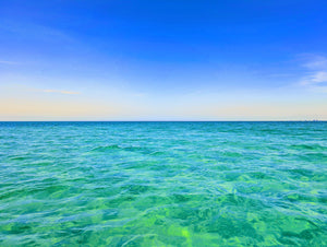 Why the Gulf of Mexico is Unique (And Worth Saving)