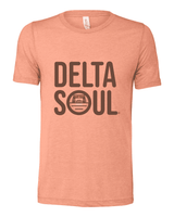 Delta Soul - Logo