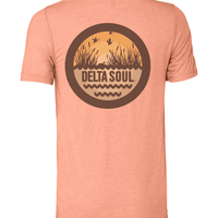 Delta Soul - Ducks